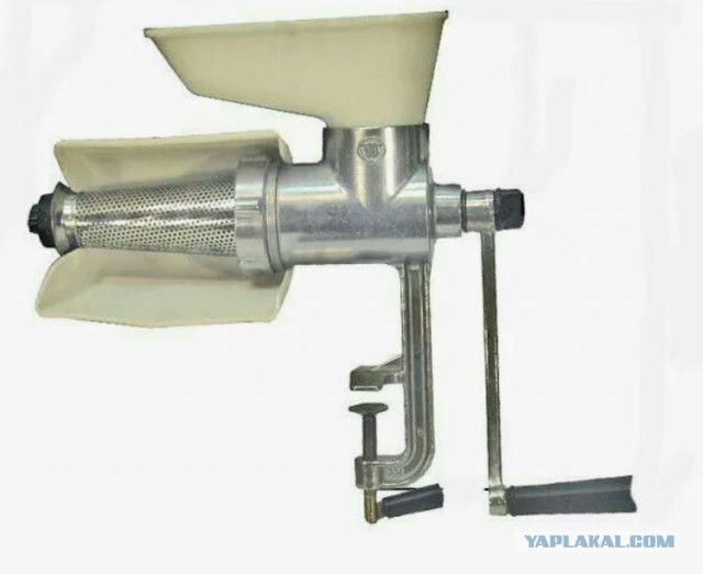 когда тиктокеры решили стать бизнесменами