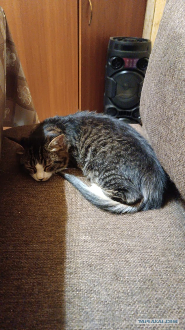 Возвращение доверия