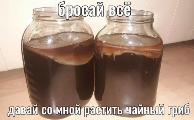 Понедельника картинки