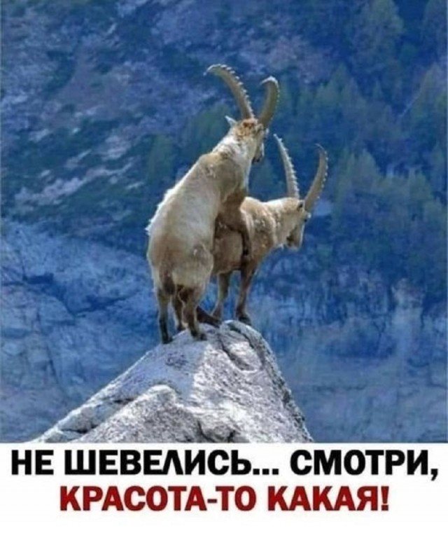 Так себе картинки 18.02.26