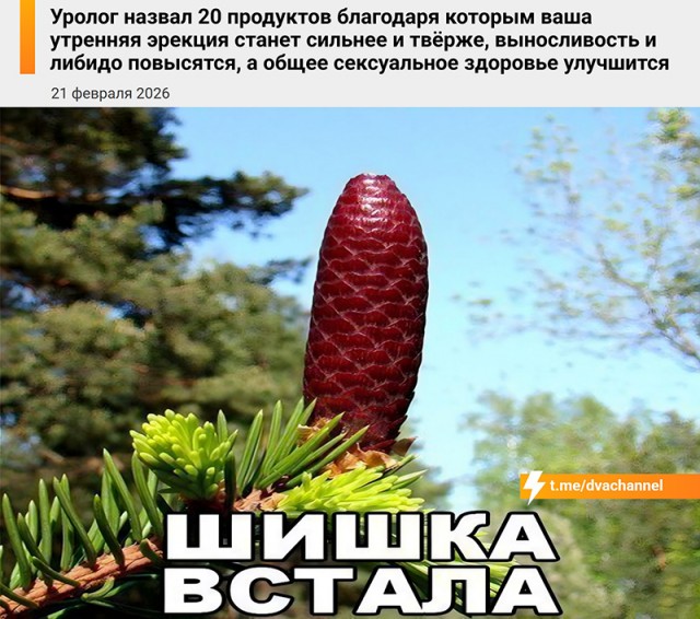 Совет для стояка, походу от южанки-женщины