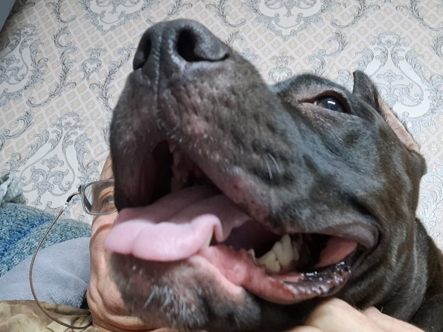 Джесси рада встрече.