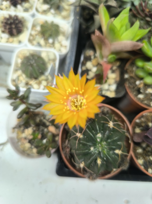 Поздравляю всех причастных с праздником!