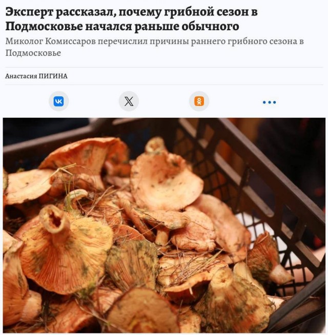 Грибной сезон в Подмосковье начался раньше срока