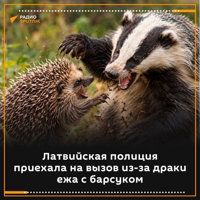 Полиция была поднята по тревоге