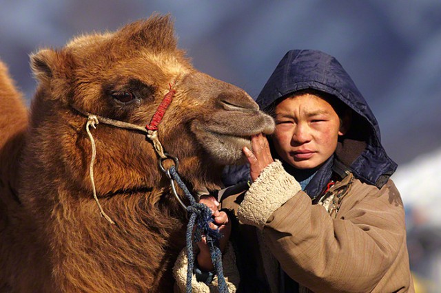 О Монголии. Красиво