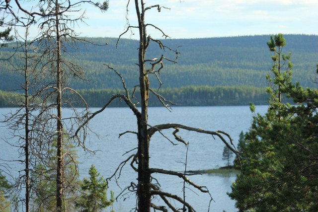 Карелия. р Кереть