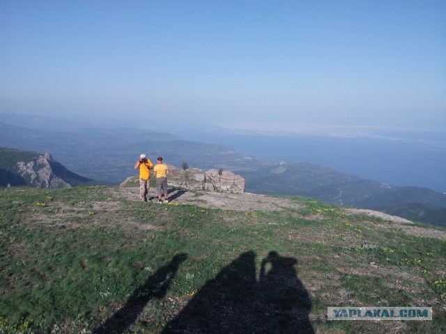 Отдых в Крыму 2014