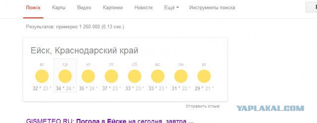 Добряки, плюсующие всех подряд