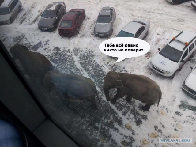 Не знаю, как назвать. Из соцсетей
