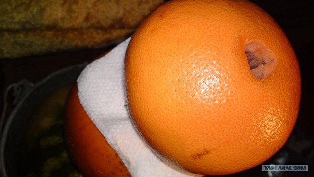 Фруктовый кальян