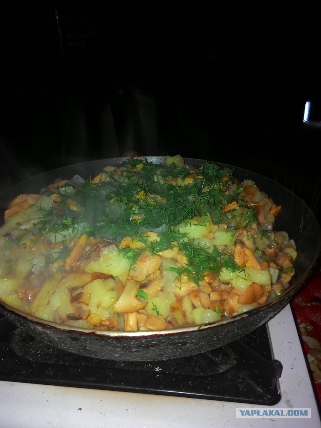 Готовим на костре или лесная кулинария