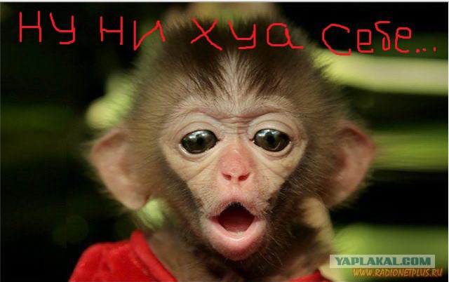 Зло за дверью