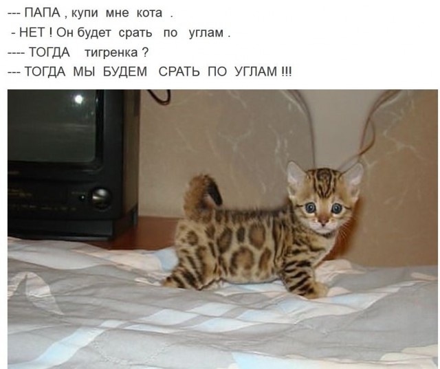 Веселости на пятницу