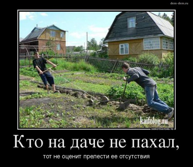 Чуть-чуть демотиваторов