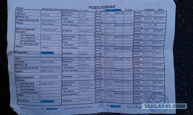 История Грея