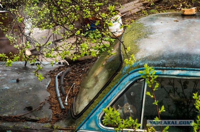 Немного моих фото, авторское