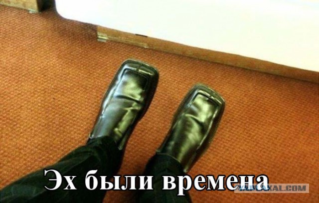 Веселые картинки