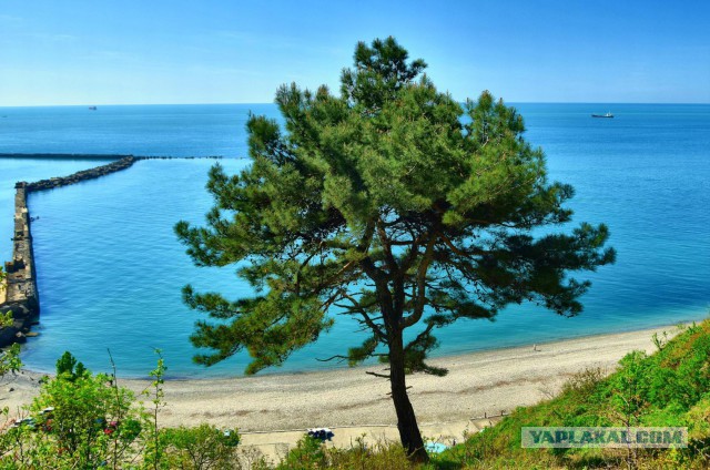 Живу у моря