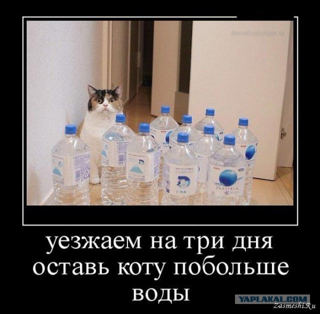 Юмор не для всех