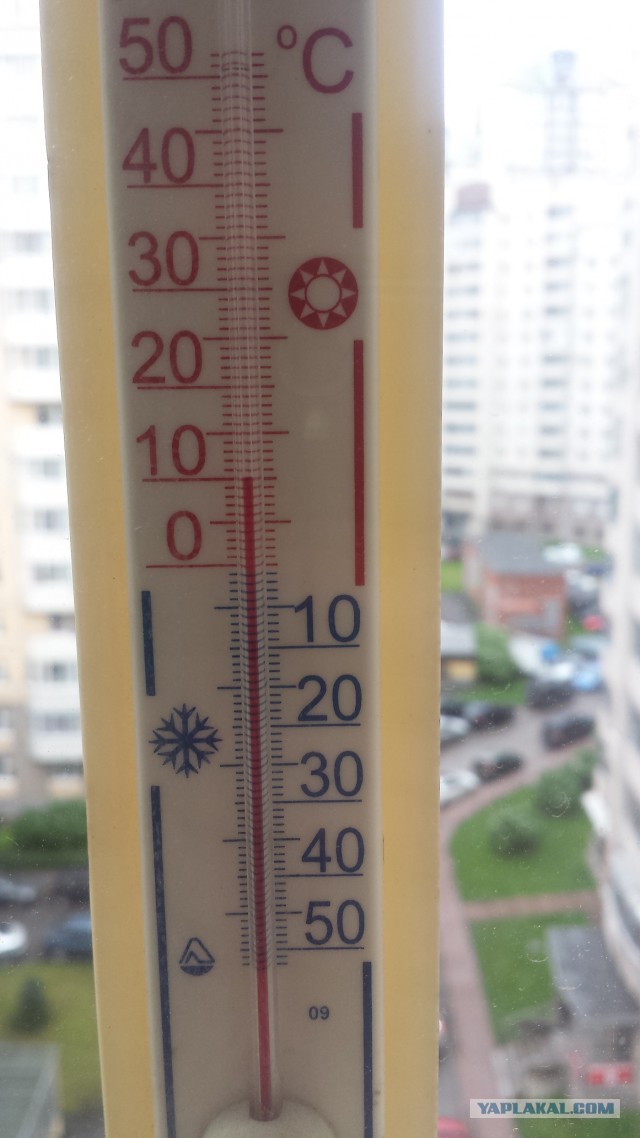 За что я люблю лето в Мурманске