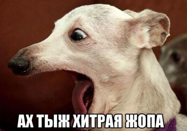 Инстаграм-модель Захра Элис стремительно набирает подписчиков