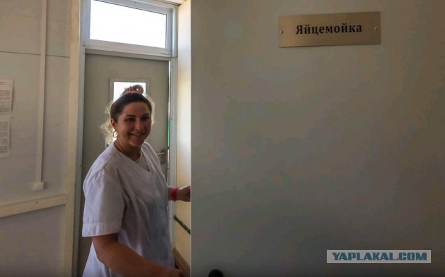Подборка разного из сети