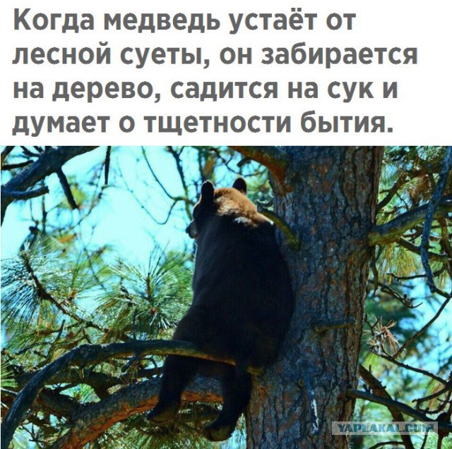 Как правильно жить в обществе (размышления).