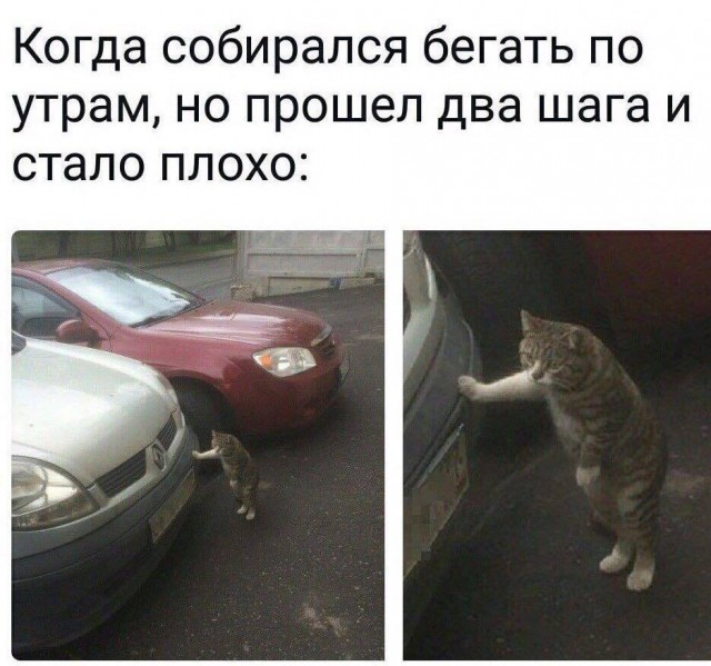 Смешные комментарии из социальных сетей 01.12.2017
