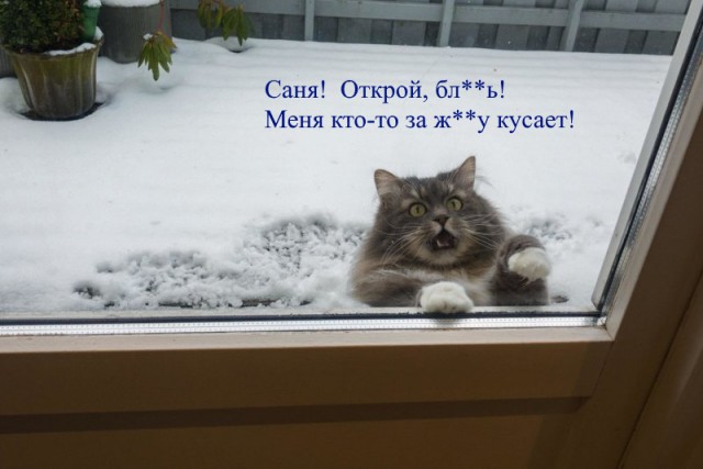 31 фото, после просмотра которых так и хочется воскликнуть: «Да что вы знаете о безысходности!»