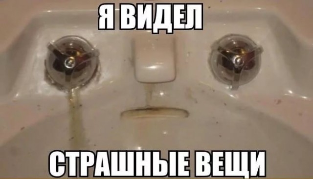 Тятя! Тятя! Наши сети принесли неадекват!