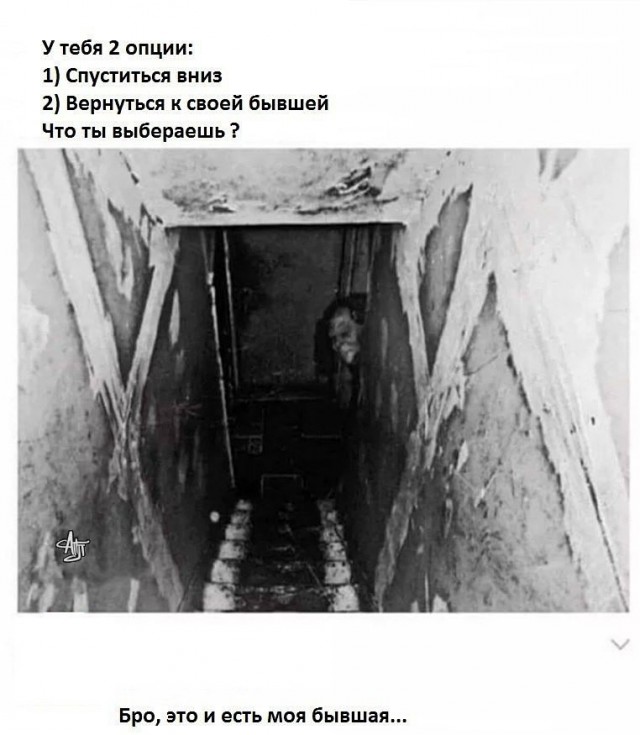 Нестандартный юмор