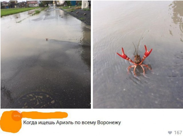 Нестандартный юмор