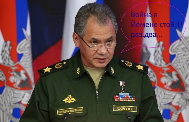 Шиитские повстанцы в Йемене просят Владимира Путина вмешаться и положить конец гражданской войне в стране