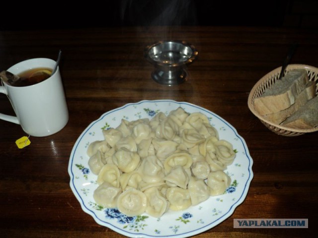 Командировка. В леса