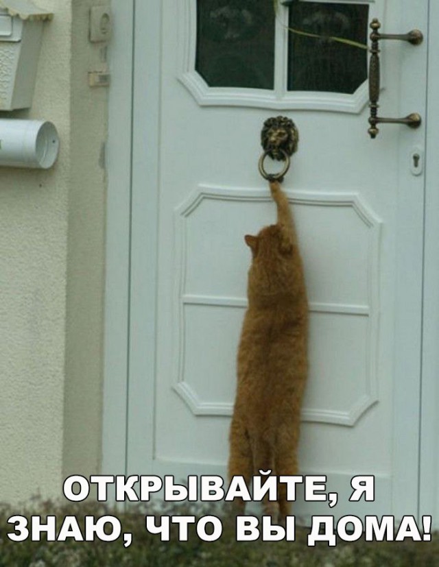 Немного милоты