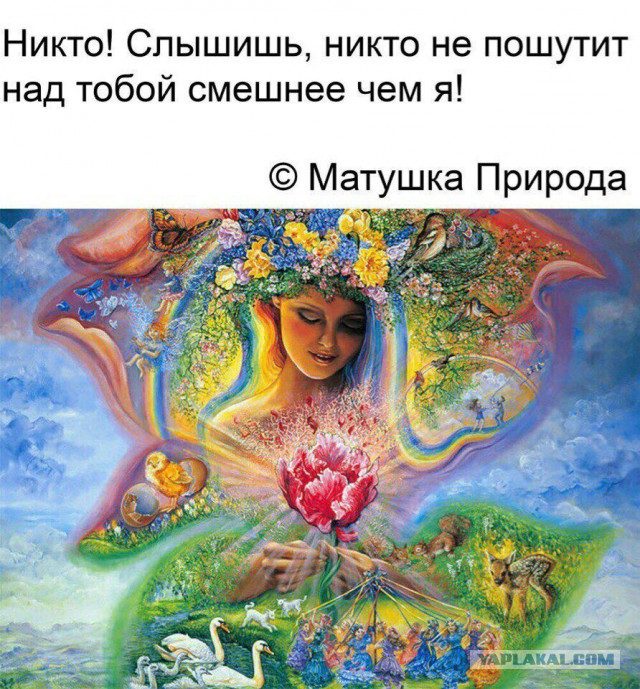 Нестандартный юмор