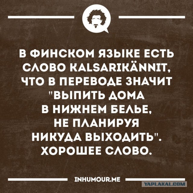Инструкция по общению с людьми для интровертов-шизоидов
