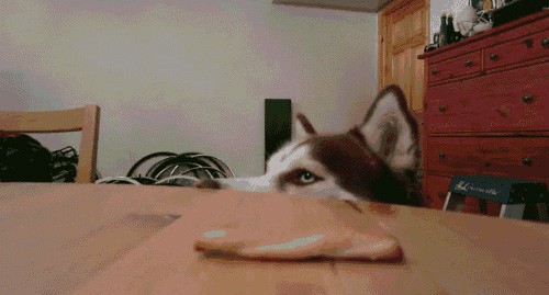 Он явно что-то замышляет