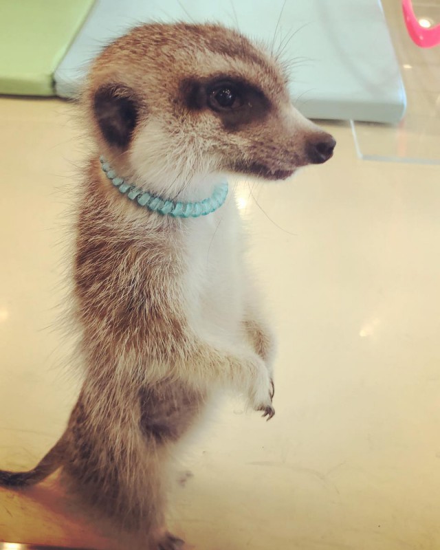 Корейский образ жизни