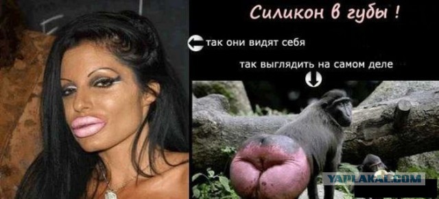 Модель из Ростова была нормальной девушкой, но превратила себя в муклу