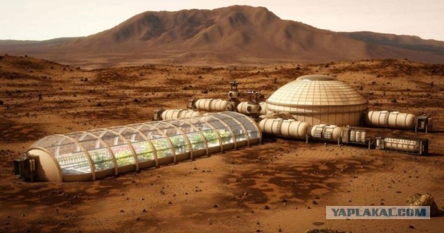 SpaceX планирует вывести корабль Starship на орбиту в течение шести месяцев