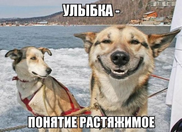 Немного картинок для настроения 29.11.19