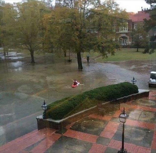 Даёшь картинкой по понедельнику