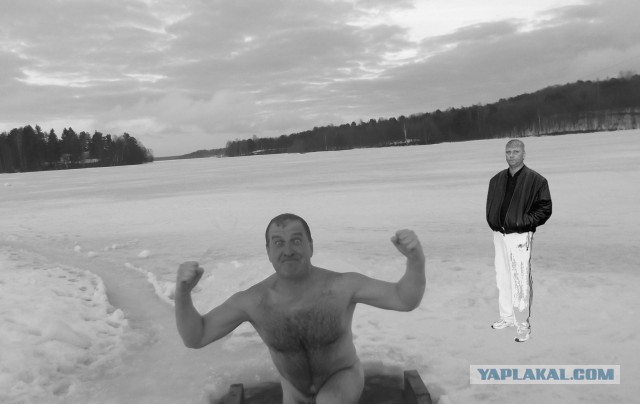 Голый морж