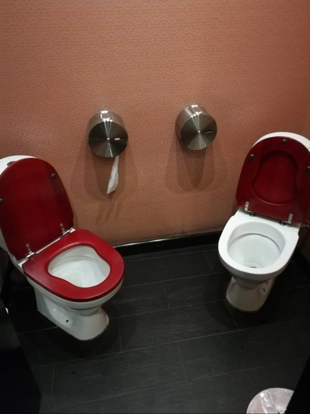 Туалеты мира