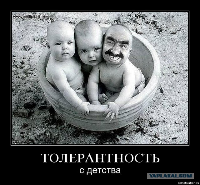 Т - толерантность