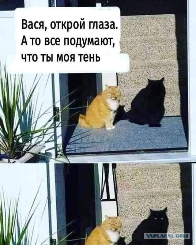 Придётся смотреть дважды...