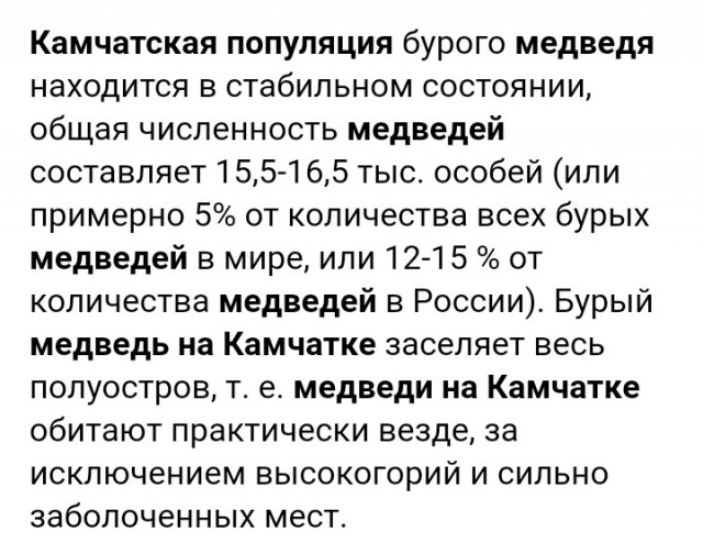 На Камчатке на подводной лодке застрелили медведицу с медвежонком