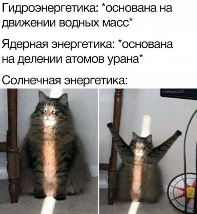 Картинки и мемы для настроения 015